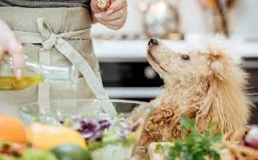 Pet Blend - Super Premium Extra Virgin Olive Oil